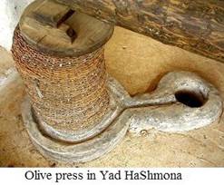 Olive press
